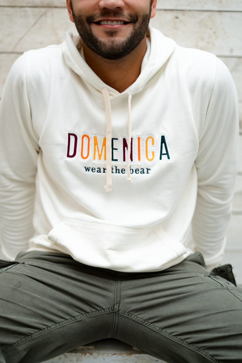 HOODIE DOMENICA ARCOIRIS - UNISEX