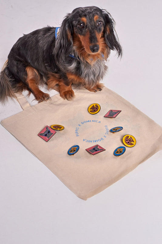 PINES PERROS - PUPPIS X DOMENICA