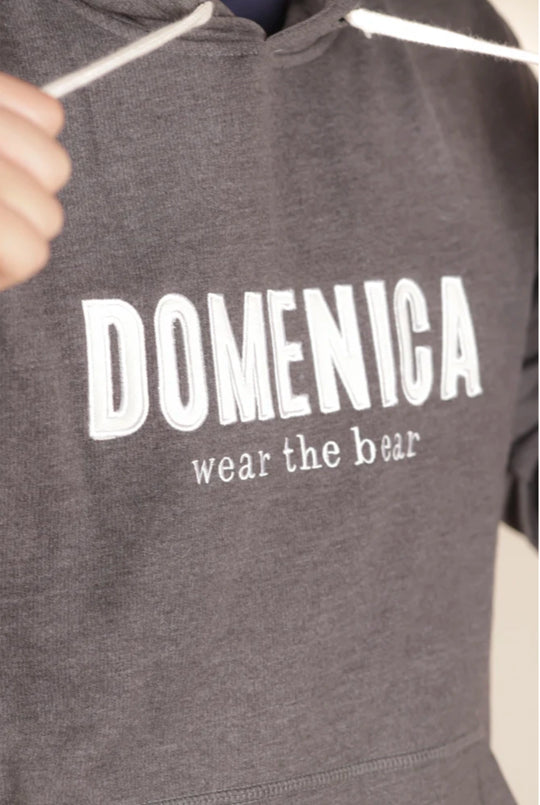 HOODIE DOMENICA GRIS OSCURO - UNISEX